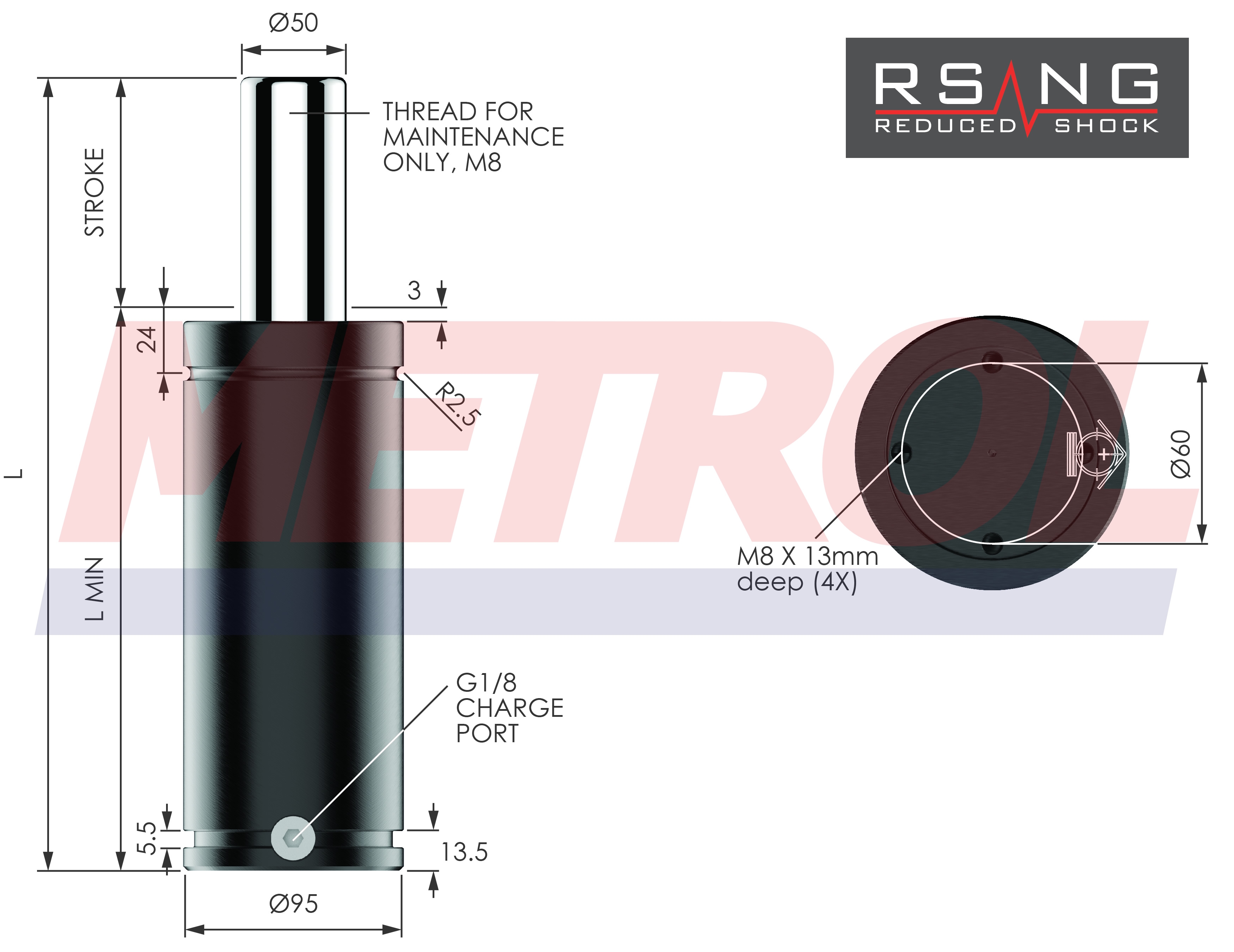 RSNG-3000