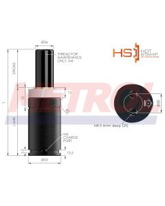 HS-EX1500-100 Nitrogen Gas Spring, 1500daN Force